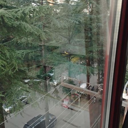Apartment Ge Zvezda Batumi Kültér fotó